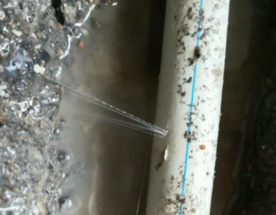 周村测漏水哪家好