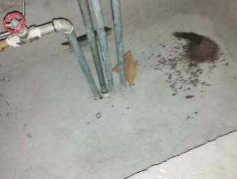 周村卫生间测漏水价格明细